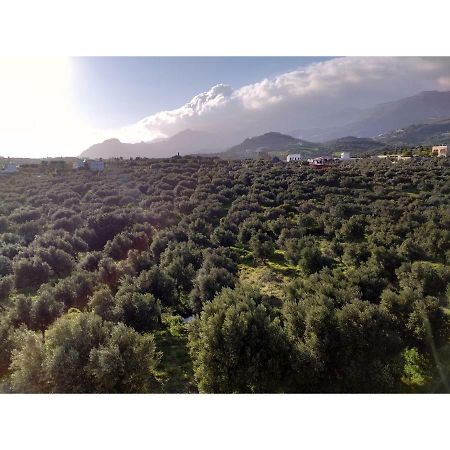 Natural Green Apartment Δαμνόνι Εξωτερικό φωτογραφία
