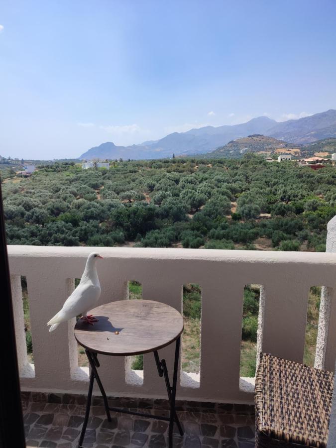 Natural Green Apartment Δαμνόνι Εξωτερικό φωτογραφία